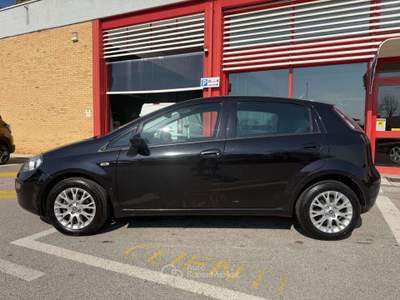 Fiat Punto Evo 5p 1.3 mjt 150th s, NEOPATENTATI OK! Nero usata Codroipo