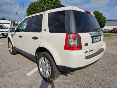 Land Rover Freelander 2.2 td4 HSE Bianco usata San Stino di Livenza