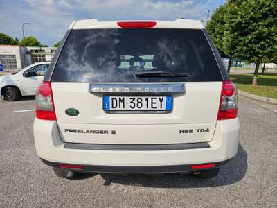 Land Rover Freelander 2.2 td4 HSE Bianco usata San Stino di Livenza