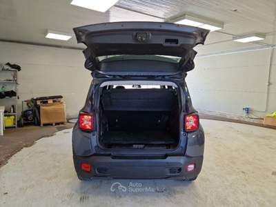 Jeep Renegade JEEP RENEGADE 1.0 T3 120 CV BUSINESS SUV usata Pozzuoli