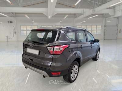 Ford Kuga FORD KUGA 2.0 TDCI 120 CV POWERSHIFT SES 2WD BUSINESS SUV usata Casei Gerola