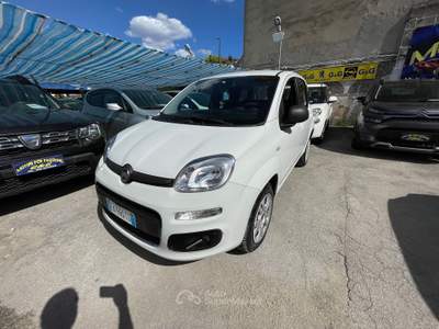 Fiat Panda METANO DI SERIE Bianco usata Napoli