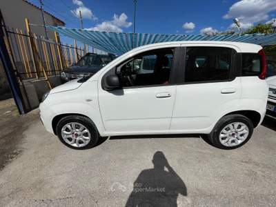 Fiat Panda METANO DI SERIE Bianco usata Napoli