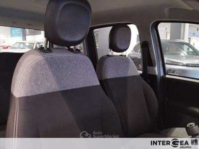 Fiat Panda Panda 1.0 firefly hybrid s&s 70cv Grigio usata Sesto Fiorentino