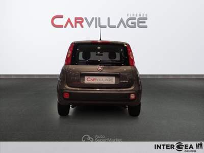 Fiat Panda Panda 1.0 firefly hybrid s&s 70cv Grigio usata Sesto Fiorentino