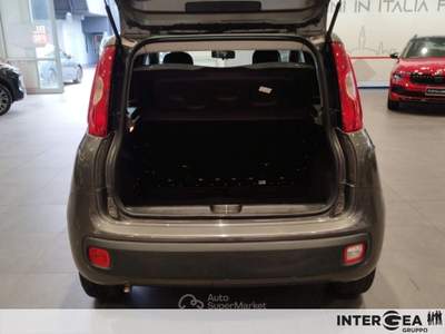 Fiat Panda Panda 1.0 firefly hybrid s&s 70cv Grigio usata Sesto Fiorentino