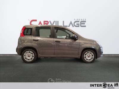 Fiat Panda Panda 1.0 firefly hybrid s&s 70cv Grigio usata Sesto Fiorentino