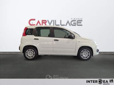 Fiat Panda Pandina 1.0 firefly hybrid s&s 70cv 5p.ti Bianco usata Sesto Fiorentino