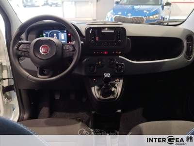 Fiat Panda Pandina 1.0 firefly hybrid s&s 70cv 5p.ti Bianco usata Sesto Fiorentino
