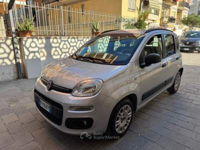 Fiat Panda easy Van 4 posti Autocarro GPL Grigio usata Roma