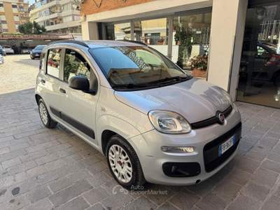 Fiat Panda easy Van 4 posti Autocarro GPL Grigio usata Roma