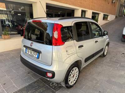 Fiat Panda easy Van 4 posti Autocarro GPL Grigio usata Roma