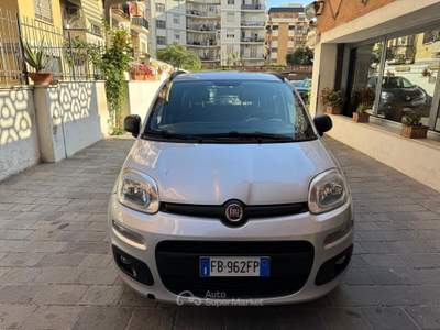 Fiat Panda easy Van 4 posti Autocarro GPL Grigio usata Roma