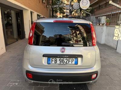 Fiat Panda easy Van 4 posti Autocarro GPL Grigio usata Roma