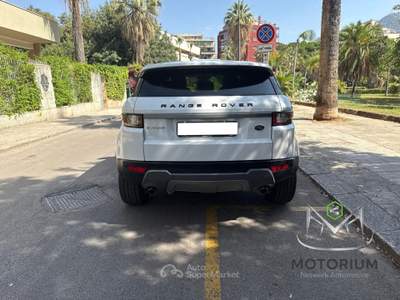 Land Rover Range Rover Evoque 2.0 eD4 5p. Business Edition Premium Pure Bianco usata Palermo