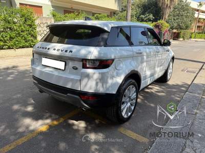 Land Rover Range Rover Evoque 2.0 eD4 5p. Business Edition Premium Pure Bianco usata Palermo