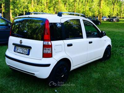 Fiat Panda FIAT PANDA 1.2 EURO 5 Bianco usata Cassano magnago