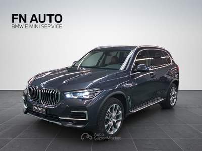 BMW X5 xDrive25d xLine Grigio usata Torino