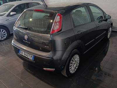 Fiat Punto Evo Punto Evo 1.4 benzina 16V 5 porte S&S Dynamic Grigio usata Cornaredo