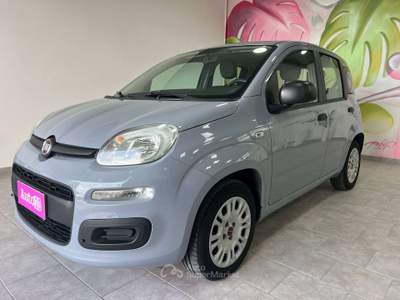 Fiat Panda Panda 2019 1.2 BENZINA SENZA OBBLIGO DI FINANZIAMENTO Grigio usata Terracina