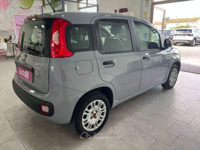 Fiat Panda Panda 2019 1.2 BENZINA SENZA OBBLIGO DI FINANZIAMENTO Grigio usata Terracina