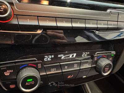 BMW X1 X1 xDrive20d BUSINESS Aut. PELLE Argento usata Bagnaria Arsa