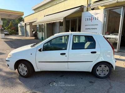 Fiat Punto Punto II 2003 5p 1.2 natural power Bianco usata Crevalcore