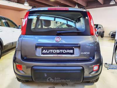 Fiat Panda FireFly Hy City Life Grigio usata Galatina