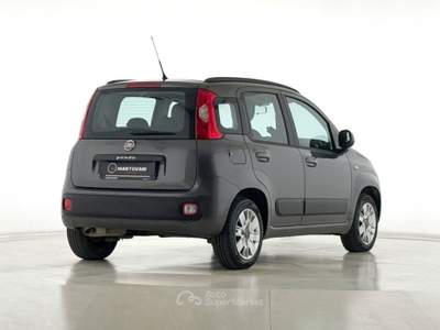 Fiat Panda 1.2 69cv E6 Lounge Nero usata Bastia Umbra