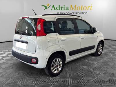 Fiat Panda 1.2 69cv E6 Lounge Bianco usata Pordenone