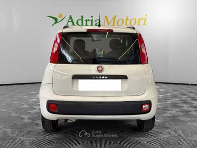 Fiat Panda 1.2 69cv E6 Lounge Bianco usata Pordenone