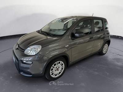 Fiat Panda 1.0 FFly 70cv S&S Hybrid-RADIO BT-SOLO KM 10900! NEOP !! Grigio usata ARTOGNE