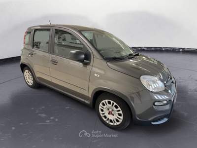 Fiat Panda 1.0 FFly 70cv S&S Hybrid-RADIO BT-SOLO KM 10900! NEOP !! Grigio usata ARTOGNE