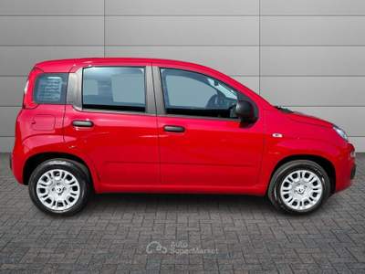 Fiat Pandina 1.0 FireFly 70cv S&S Hybrid Icon Rosso usata Varese