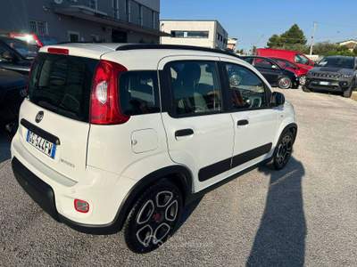 Fiat Panda Panda III 2021 1.0 firefly hybrid City Life s Bianco usata Sant'Omero