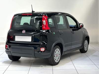 Fiat Panda 1.0 FireFly 70cv S&S Hybrid Nero usata Cassano Magnago