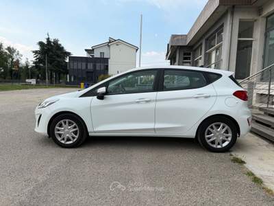 Ford Fiesta Ford Fiesta 1.1 Plus #11077 Bianco usata Reggio nell'Emilia
