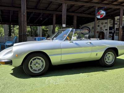 Alfa Romeo Spider 1300 Junior – 1976 Argento usata Pianezza