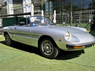 Alfa Romeo Spider 1300 Junior – 1976 Argento usata Pianezza