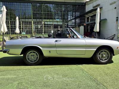 Alfa Romeo Spider 1300 Junior – 1976 Argento usata Pianezza