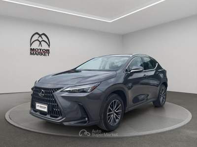 Lexus NX 2.5 Hybrid Business 2WD e-CVT Grigio usata Roma