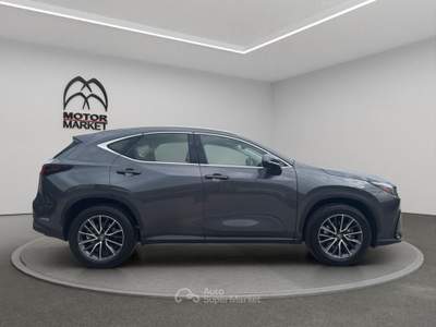 Lexus NX 2.5 Hybrid Business 2WD e-CVT Grigio usata Roma