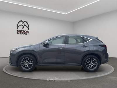 Lexus NX 2.5 Hybrid Business 2WD e-CVT Grigio usata Roma