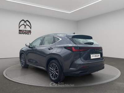 Lexus NX 2.5 Hybrid Business 2WD e-CVT Grigio usata Roma