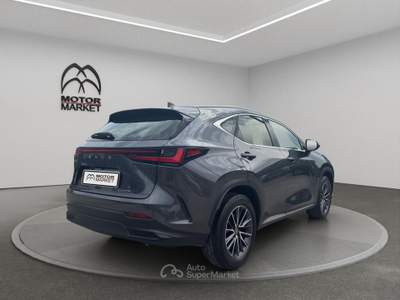 Lexus NX 2.5 Hybrid Business 2WD e-CVT Grigio usata Roma