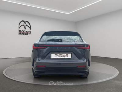 Lexus NX 2.5 Hybrid Business 2WD e-CVT Grigio usata Roma
