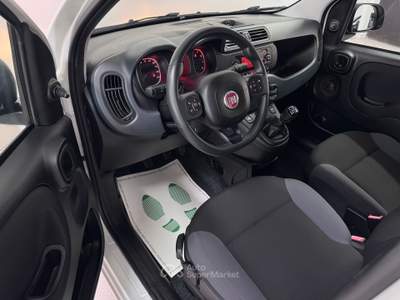 Fiat Panda METANO - Easy -2018 Bianco usata Pollenza