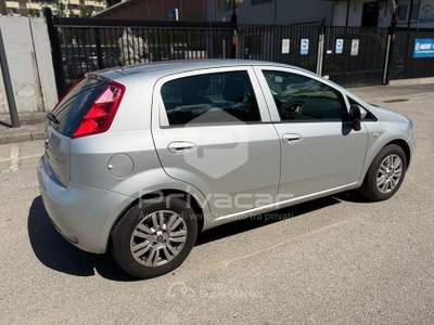 Fiat Punto FIAT Punto 1.4 8V 5 porte Easypower Lounge Grigio usata Milano