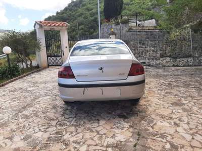 Peugeot 407 POCHI KM Argento usata Traona