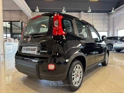 Fiat Panda 1.0 FireFly S&S Hybrid SOLI 5.300 KM PREZZO REALE Nero usata Cortemaggiore